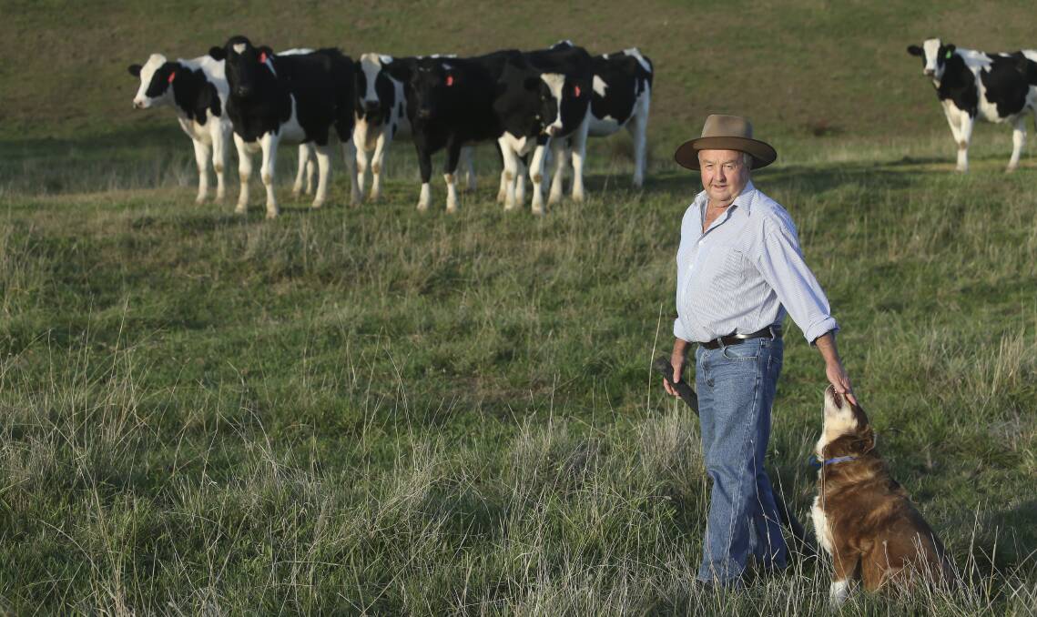 FARM FRESH: Devondale Murray Goulburn director Ken Jones said his nine-member board, which has seven dairy farmers on it, shares the pain of its suppliers hurt by the recent milk price cut. Picture: ELENOR TEDENBORG