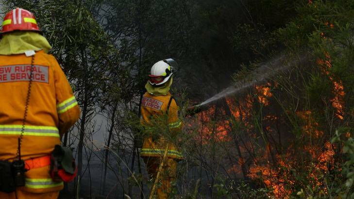 Firefighters fight the bushfire in Kurri Kurri. Photo: Jonathan Carroll