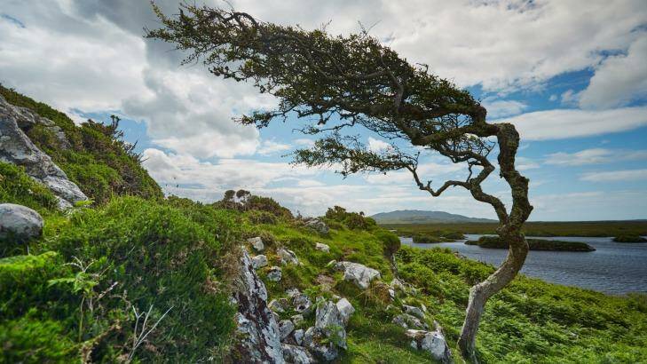 The beautiful Connemara region of Ireland.