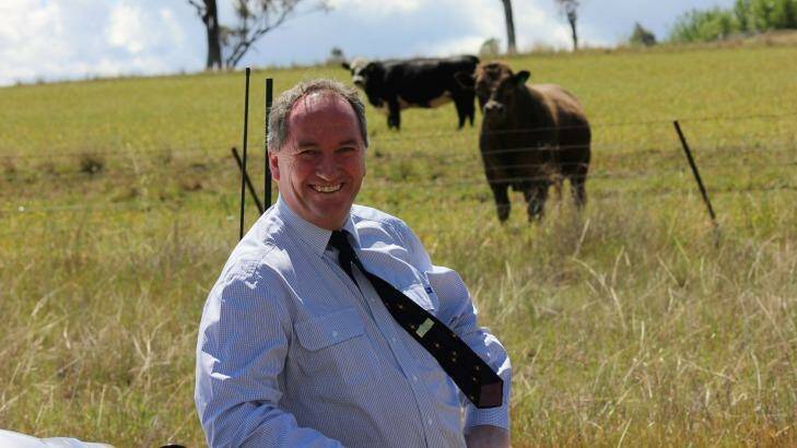 Barnaby Joyce became the Member for New England at the 2013 election following a stint in the Senate. Photo: Simon Chamberlain