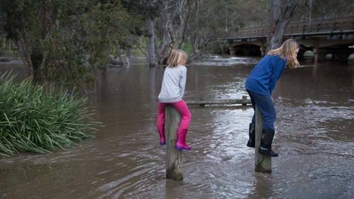 Pole sitting as the Glenelg River broke its banks and caused flooding around Casterton in western Victoria over the weekend. Photo: Gill Fry Photography