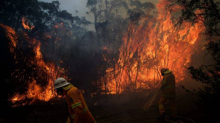 NSW Rural Fire Service crews struggle to contain a bushfire  around the Wentworth Falls escarpment. Photo: Wolter Peeters