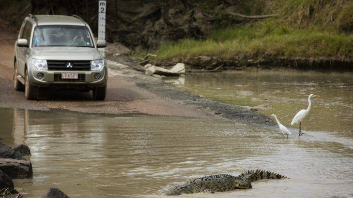 The East Alligator River where Kakadu National Park and Arnhem Land meet lives up to its name. Photo: Glenn Campbell