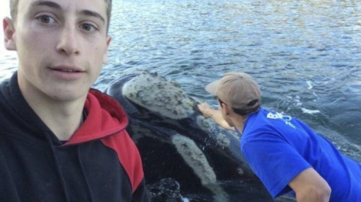 Michael Riggio (left) takes a selfie as Ivan Iskenderian reaches for the whale. Photo: Michael Riggio 