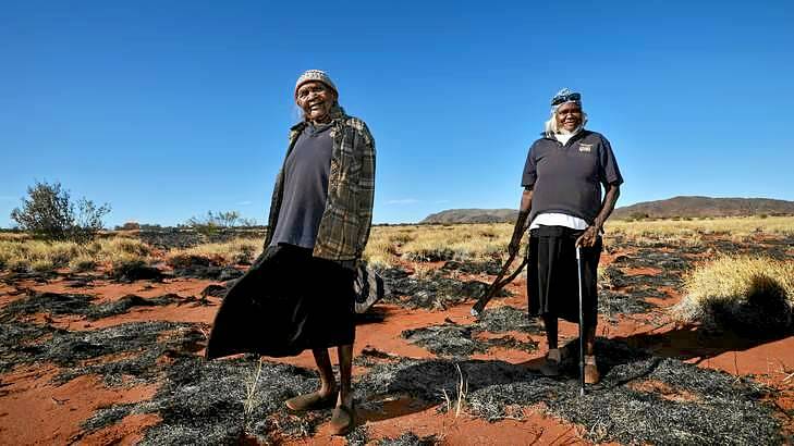 Anangu elders Tjariya Stanley and Inpiti Winton oversea a controlled burn to protect the habitat of the endangered Black-Footed Rock Wallaby, "Warru" in Pitjantjatjara language. Photo: Justin McManus