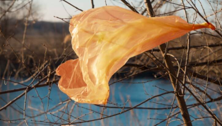 Most plastic bags end up in landfill, or a lesser amount as litter. They can last 20-1,000 years. Photo: Boomerang Alliance
