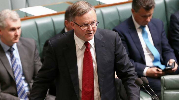Anthony Albanese, who holds the inner western Sydney seat of Grayndler, has been linked to a switch to the neighbouring seat of Barton. Photo: Alex Ellinghausen