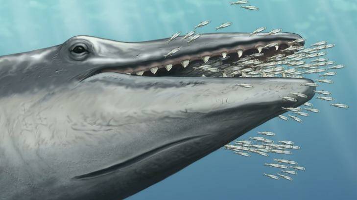 An artists' impression of 'Alfred' showing off his teeth. Photo: Carl Buell