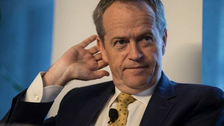 Opposition Leader Bill Shorten is expected to recommend the Labor caucus vote against the plebiscite.  Photo: Louie Douvis