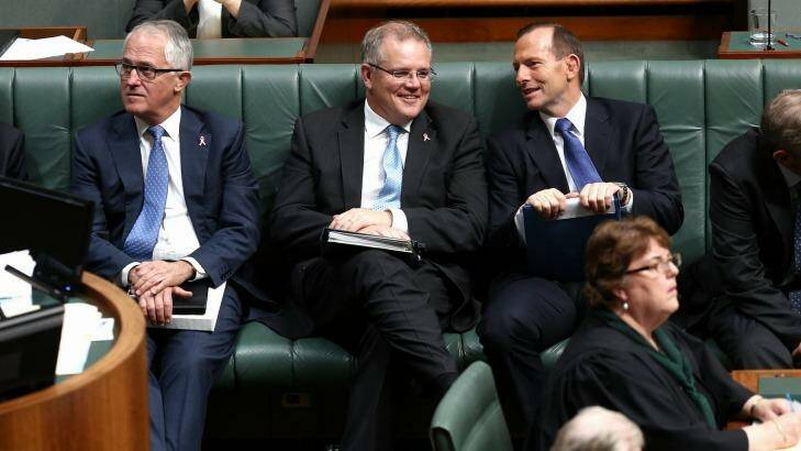Malcolm Turnbull, Scott Morrison and Prime Minister Tony Abbott on the government frontbench. Photo: Alex Ellinghausen