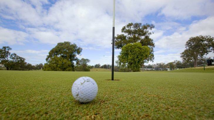 A golf course in Sydney's south-west had an unexpected visitor on Thursday. Photo: Glenn Hunt 