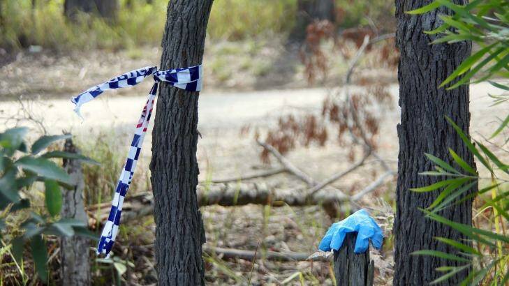 The bushland where the body of Michelle Reynolds was dumped. Photo: Frank Redward