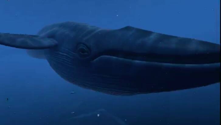The whale in The Blu demo. Photo: HTC