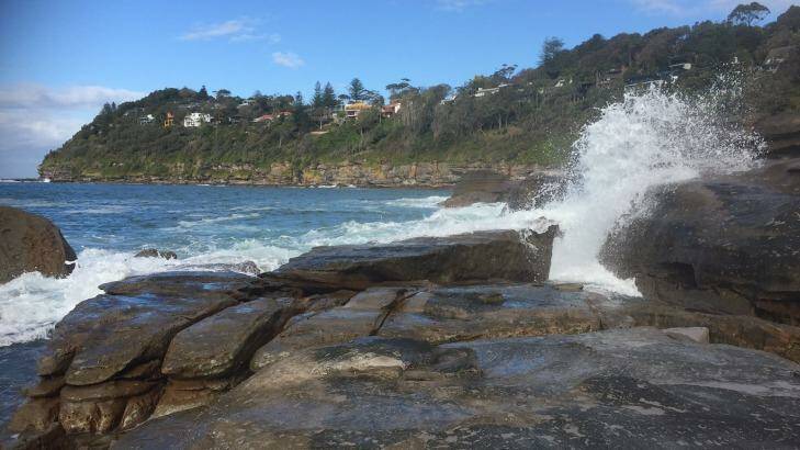 A rock ledge at Whale Beach. Photo: Surf Life Saving NSW