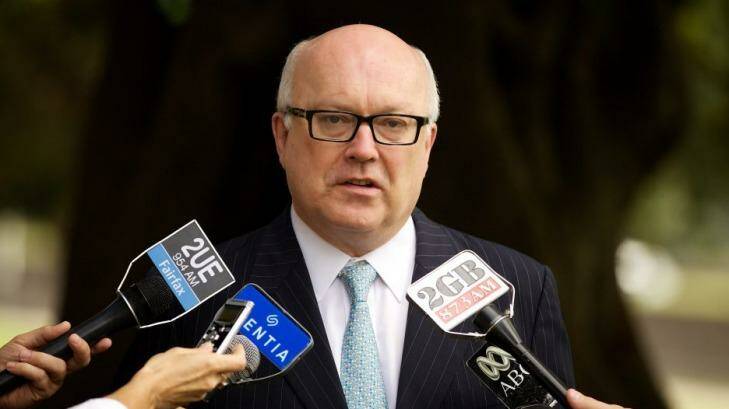 "I am in the process at the moment of going through those many submissions ... [they] reflect a variety of views across the Australian community on what is an important and difficult issue": Senator George Brandis. Photo: Wolter Peeters