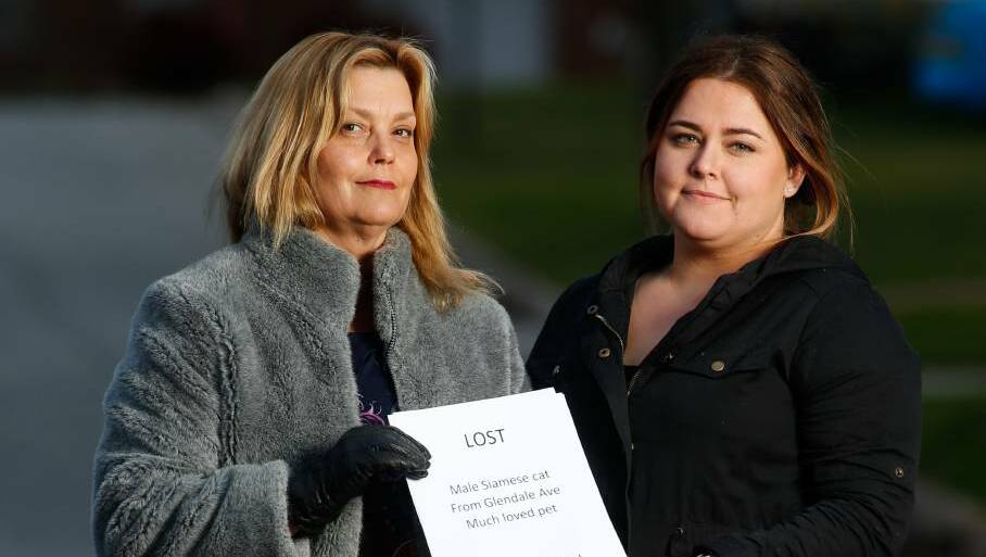  Kathryn Bonham and Emma Hailey want to know what happened to their beloved cats, missing in unusual circumstances. Picture: MARK JESSER
