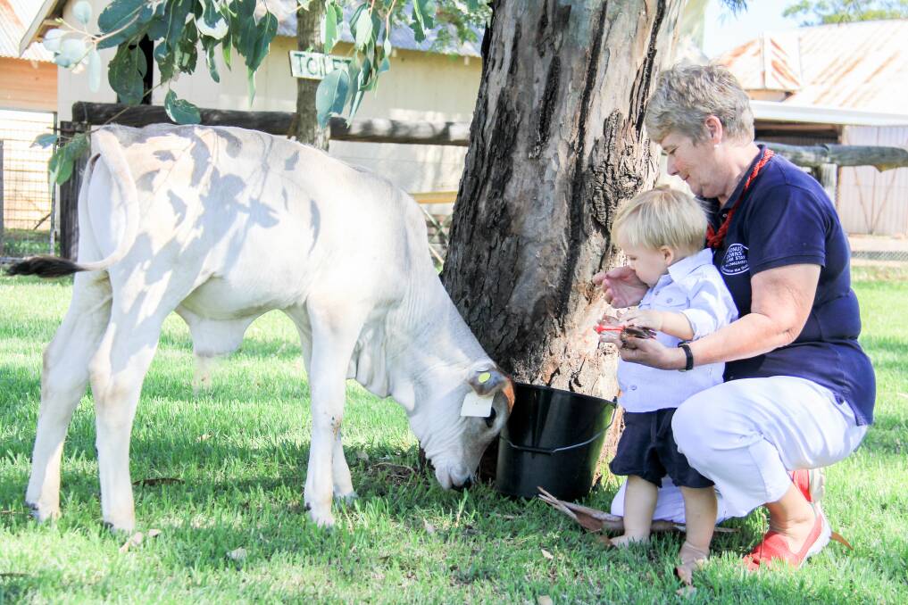 Madonna and Benjamin with one of the family's poddy calves. 